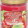 Smoke Odor 13oz Jar Candle