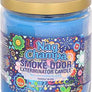 Smoke Odor 13oz Jar Candle