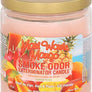 Smoke Odor 13oz Jar Candle